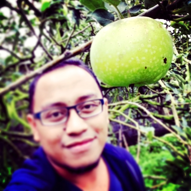 Kebun Apel, Agrowisata, Batu, Surabaya